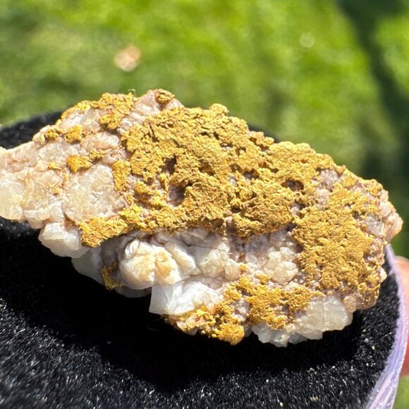 VERY RICH Gold in Quartz Specimen- California - 10.8 grams - Picture 12 of 12
